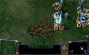 StarCraft II : Heart of the Swarm - Screenshot 2