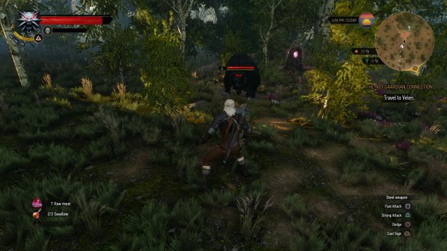 The Witcher 3: Wild Hunt - Immagine 152487