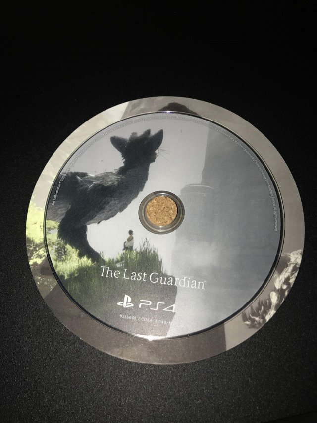 The Last Guardian - Immagine 197144
