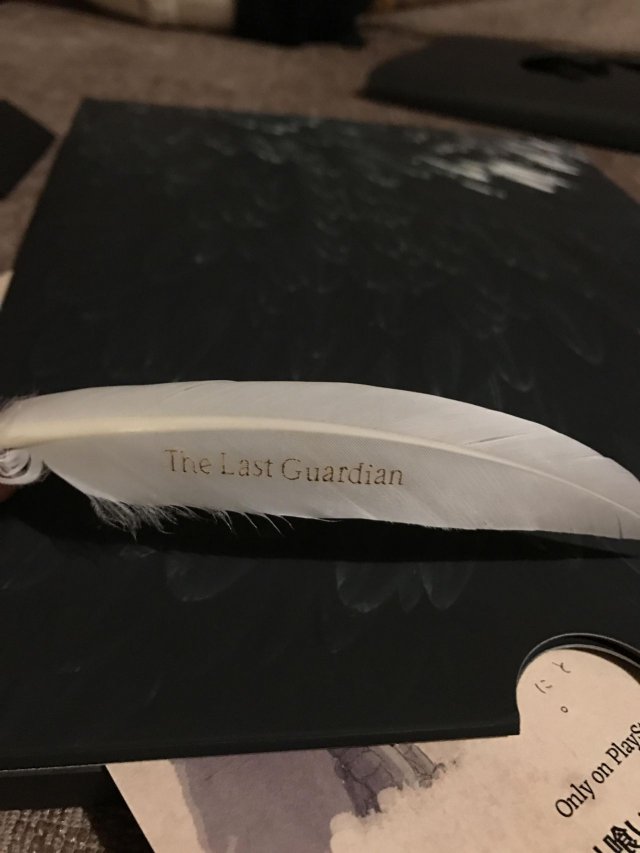 The Last Guardian - Immagine 197145