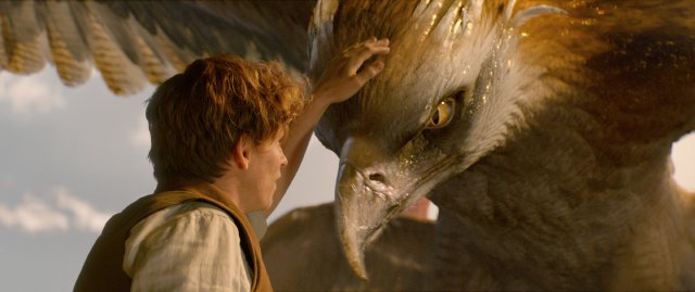 Animali Fantastici e Dove Trovarli - Immagine 196290