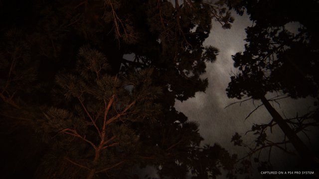 The Last of Us Part II - Immagine 205830