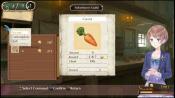 Atelier Meruru: the Apprentice of Arland - Screenshot 5