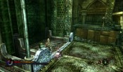 Pandora's Tower - Screenshot 8