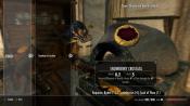 The Elder Scrolls V: Skyrim - Screenshot 4